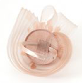 Nude Swirls Fascinator - Image 4